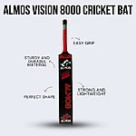 VISION 8000 TAPE BALL PAINTED CRICKET BAT Features