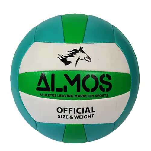 Volleyball4