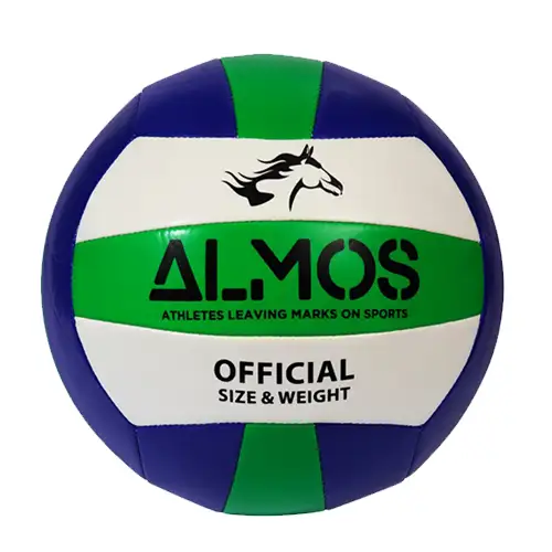 Volleyball5